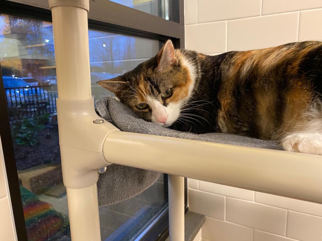 Research field photo