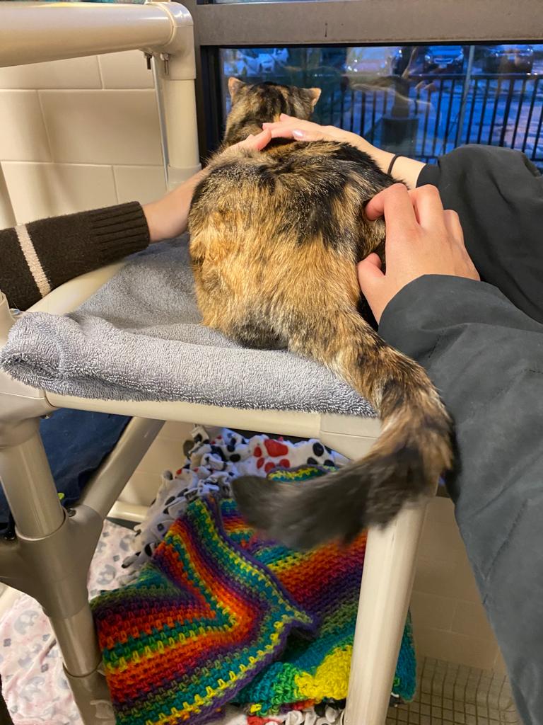 Research field photo