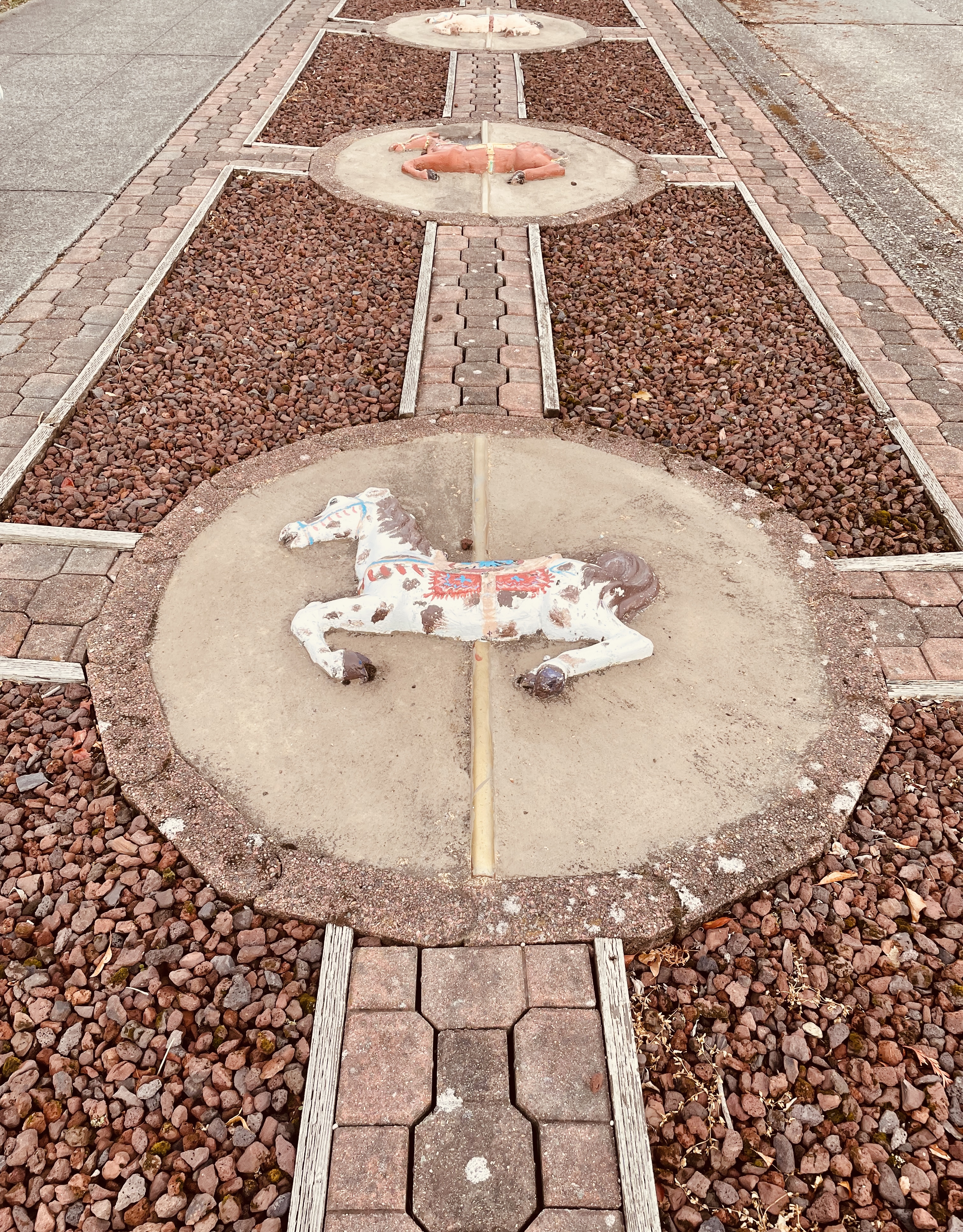 Field study observations